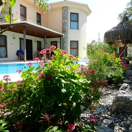Ada *